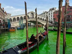 Il Canal Grande colorato di verde