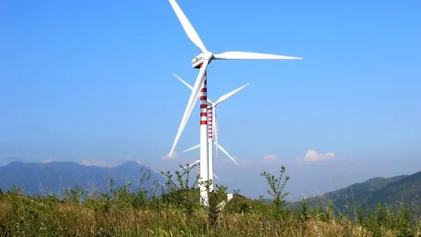 Impianto per energia eolica in una foto d'archivio. Le fonti ''verdi'' coprono il 100% dei consumi delle famiglie, secondo un'indagine di Confartigianato. Per il solare, la Puglia supera la Cina..ANSA/GID