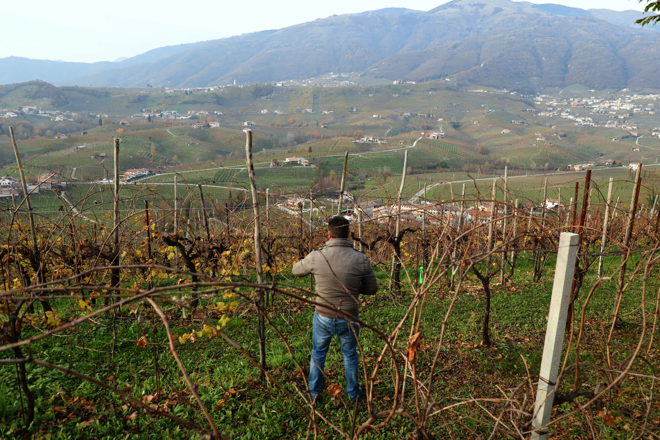 Un viticoltore sui colli del Prosecco