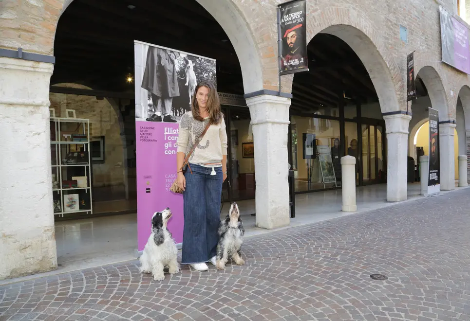 borghesi agenzia fotofilm treviso cani mostra erwitt