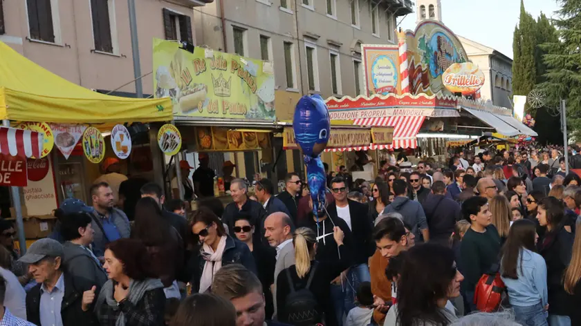 DE POLO AG.FOTOFILM . TREVISO FIERE DI SAN LUCA