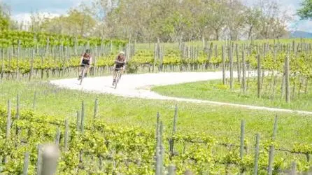 In bici tra le bellezze della Colline del Prosecco