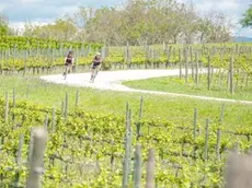 In bici tra le bellezze della Colline del Prosecco
