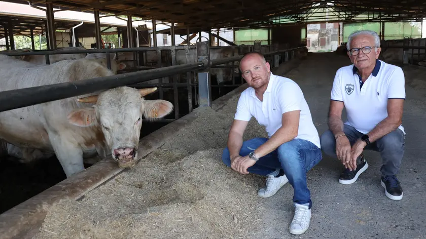 Fabio Scomparin, presidente della società cooperativa agricola, assieme al figlio Marco, socio e amministratore