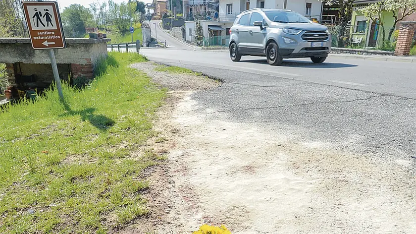 Un mazzolino di fiori sul luogo dell’incidente dove è morto Danny Mattiuz
