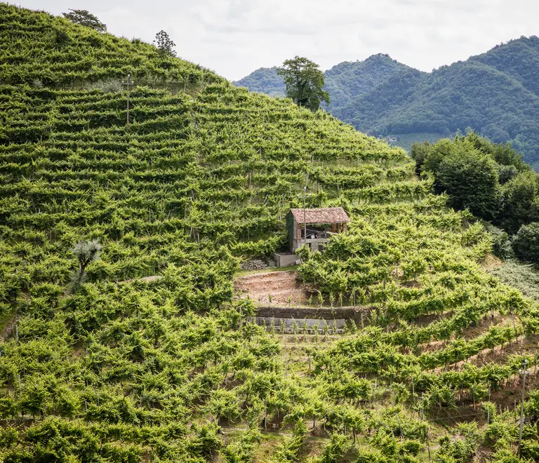 Allegranzi Valdobbiadene Paesaggi Lungo la strada del prosecco