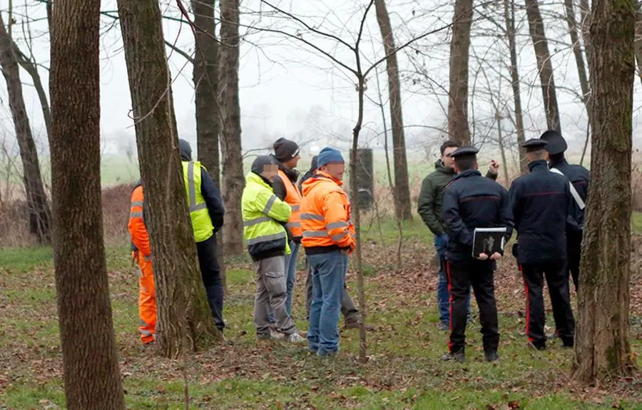 DeMarchi Altivole cantiere Pedemontana ruspe nel bosco di Piccolotto
