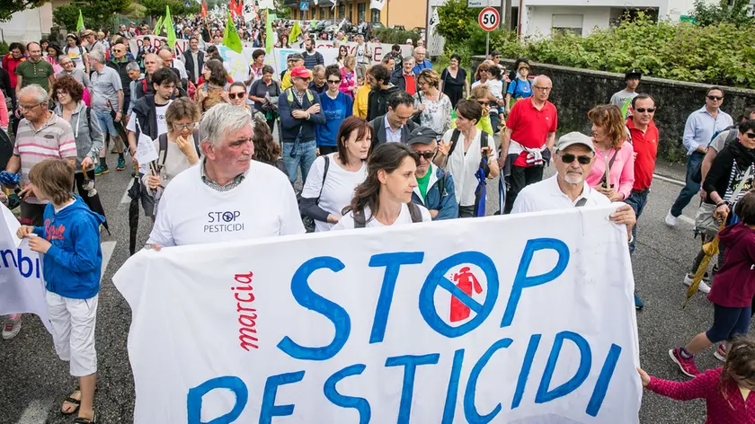 Allegranzi Follina Marcia no pesticidi all'abazia