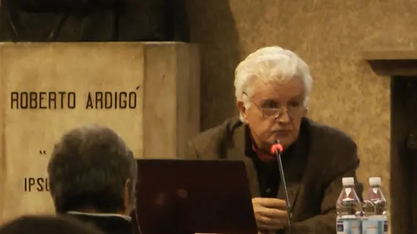 Il professor Luigi D'Alpaos