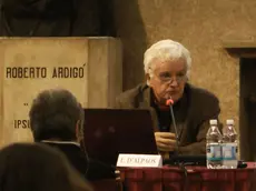 Il professor Luigi D'Alpaos