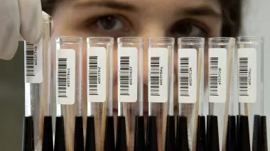 A sinistra il primario Francesco Di Mario, un laboratorio e l’ingresso del Ca’ Foncello