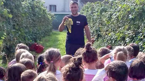 DeMarchi Crocetta Del Montello Omar Rossetto