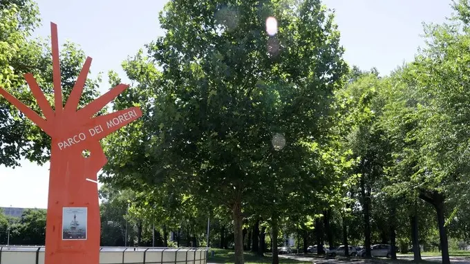 filippi agenzia foto film silea parco dei moreri