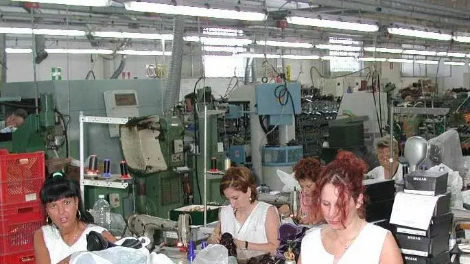 Donne al lavoro in una azienda