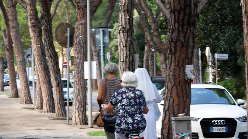Pedoni e ciclisti in viale Battisti: lunedì 2 settembre inizia l’abbattimento dei pini marittimi