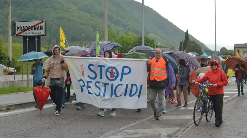 Oltre 800 attivisti con gli striscioni hanno marciato sotto la pioggia da Cison di Valmarino a Follina per dire stop ai pesticidi