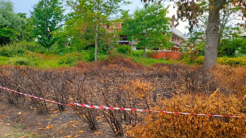 I danni al parco di Mogliano provocati dalla baby gang