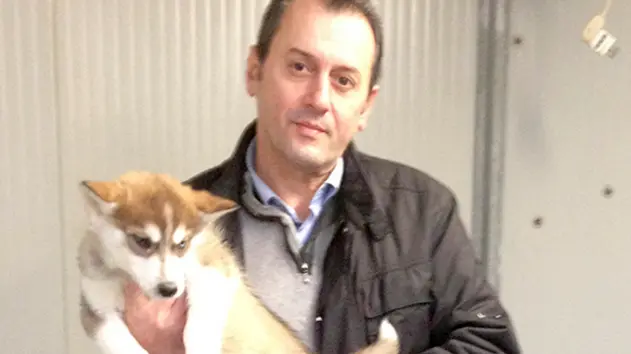 DeMarchi Loria Massimo Boaro furto cani husky