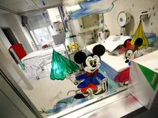 Il bimbo di Motta ha regalato i soldi dei regali a una bimba ricoverata in Pediatria