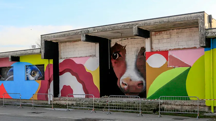 DeMarchi Castelfranco murales ex Foro Boario