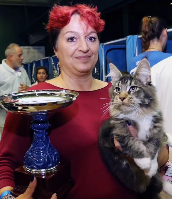 DE MARCHI AG.FOTOFILM TREVISO -I GATTI PIU' BELLI DEL MONDO- A IPPODROMO S. ARTEMIO