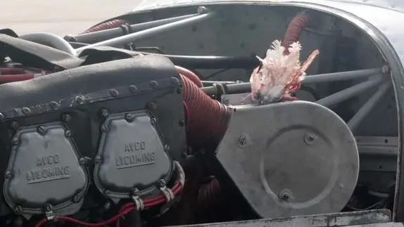 DE WOLANSKI TREVISO INCIDENTE AEREOCLUB GABBIANO ENTRATO DENTRO IL MOTORE AEREO