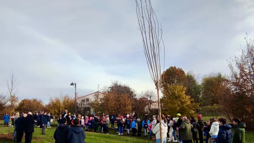 La piantumazione degli alberi