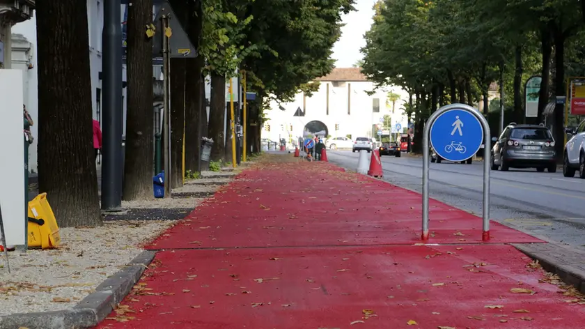Viale Montegrappa a Treviso
