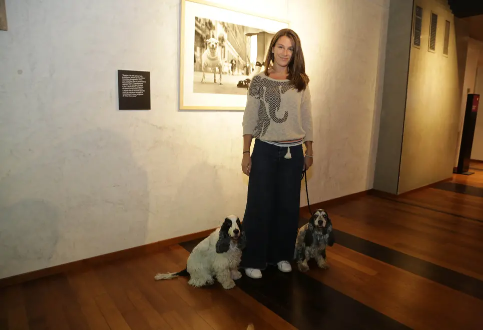 borghesi agenzia fotofilm treviso cani mostra erwitt