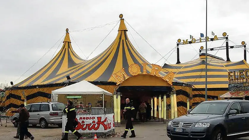 Il tendone di un circo a Treviso: gli spettacoli circensi d’ora in avanti saranno organizzati in Dogana