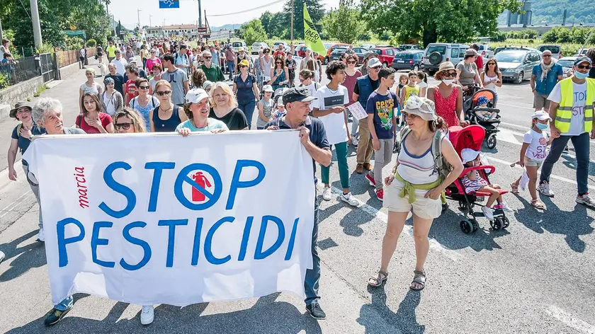 Allegranzi Follina Manifestazione contro i pesticidi