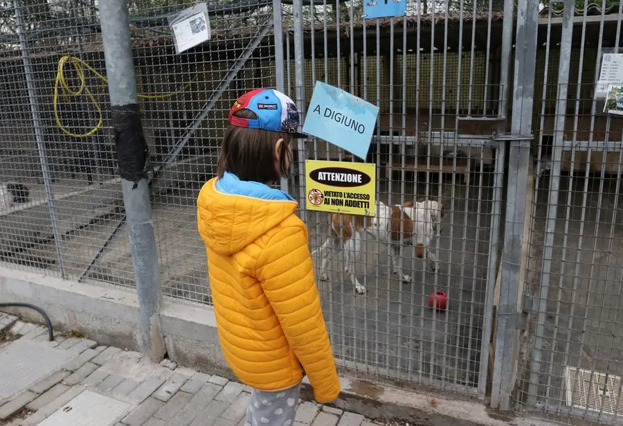 TOME AG.FOTOFILM PONZANO . CANILE ENPA GIORNATA -LIBERI TUTTI-