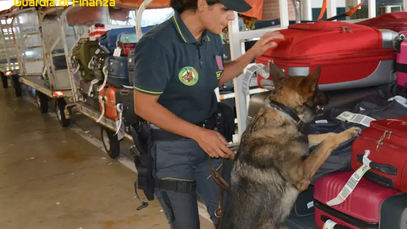 I controlli della Finanza all'aeroporto di Treviso