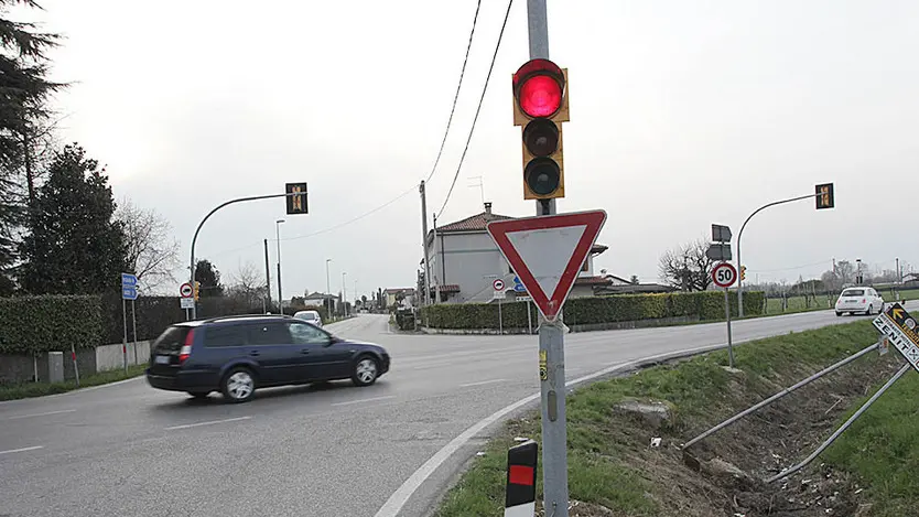 BELLUCO INCROCIO DUE ALBERE PIAZZOLA SUL BRENTA