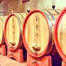 La cantina di Casa Roma Vini: la società è in liquidazione giudiziale