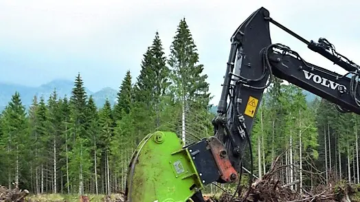 Escavatore solleva i tronchi abbattuti da Vaia nella foresta del Cansiglio