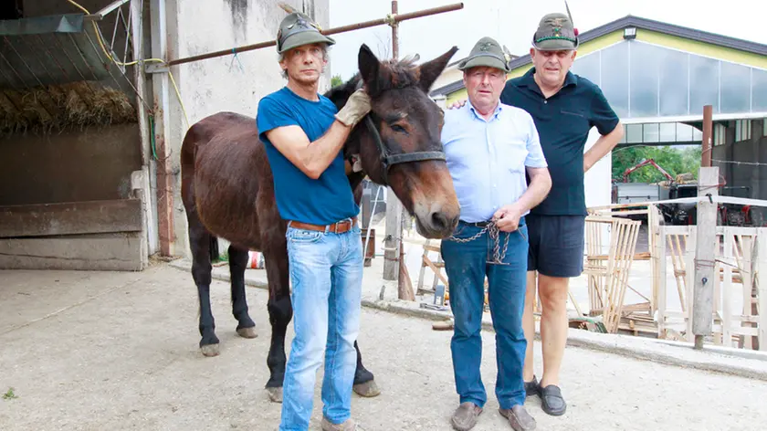 Borin Anzano Iroso nato nel 1979 matricola 212 ultimo mulo esercito Giuseppe, Antonio De Luca e Zanette Alberto