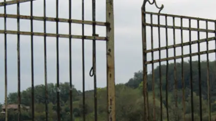 MIANE AVVISTAMENTO PANTERA CIMITERO FOTOCRONACA miane follina avvistamento pantera conegliano via molena covolo famila