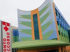 Borghesi Montebelluna ospedale nuova figura di aiuto in pronto soccorso