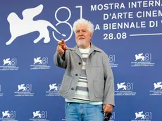 Pedro Almodovar al Lido