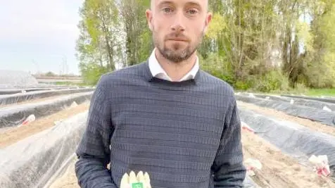 Paolo Zanusso, presidente del Consorzio dell'asparago bianco Cimadolmo Igp