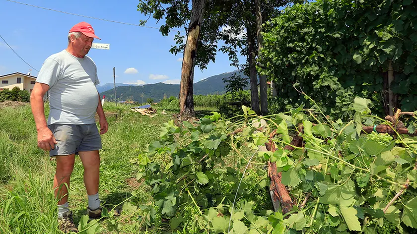 Allegranzi Valdobbiadene via Erizzo uscita autonoma camion Mario proprietario viti sconsolato davanti ai danni