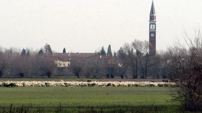 L’area di Pra’ dei Gai che periodicamente si allaga