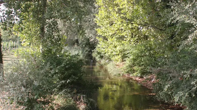 Vatrella Ponte di Piave Torrente Negrisia