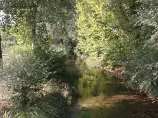 Vatrella Ponte di Piave Torrente Negrisia