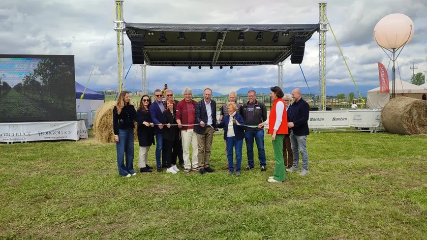 Il taglio del nastro