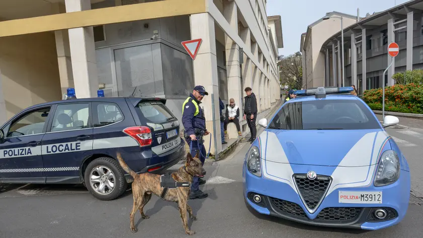 I controlli con le unità cinofile stamattina in centro a Conegliano