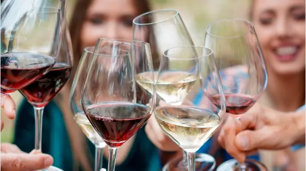 I migliori vini della provincia di Treviso