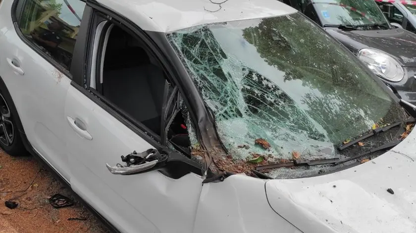 L’auto schiacciata da un grosso ramo a fine giugno in parco Rocca