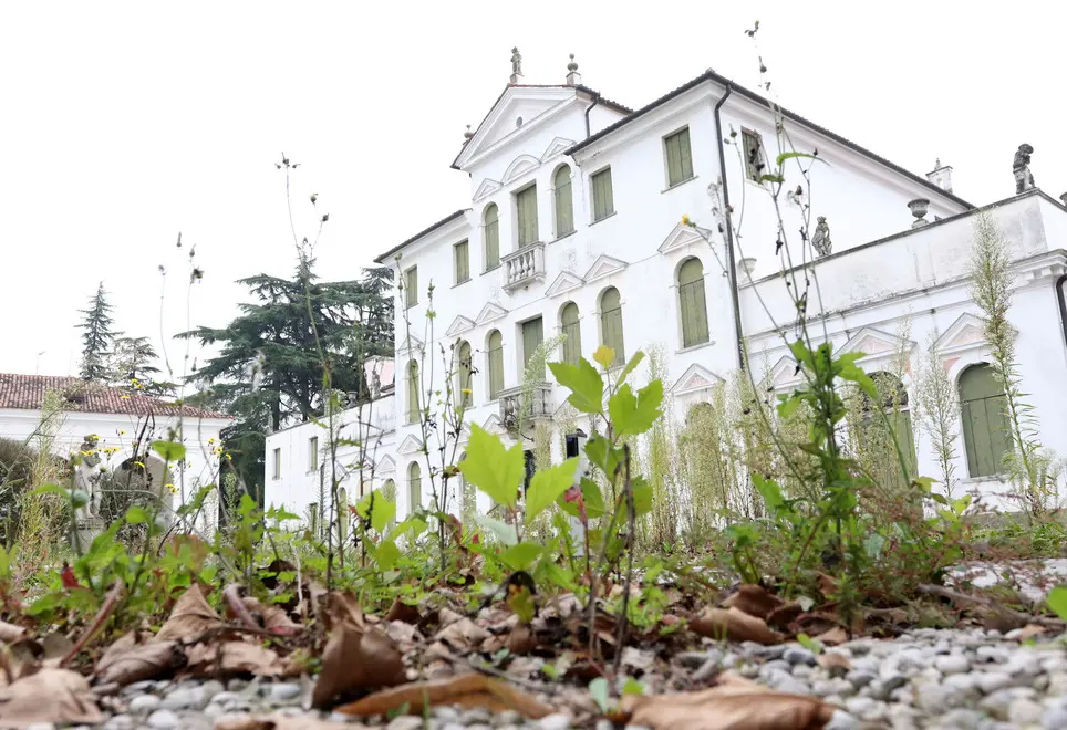 DE WOLANSKI AG.FOTOFILM TREVISO VILLA CA' ZENOBIO